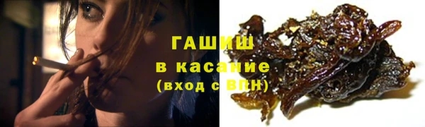 индика Каменногорск