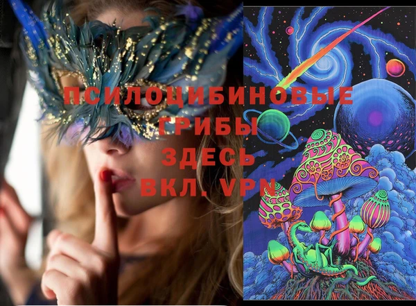 Альфа ПВП Елизово