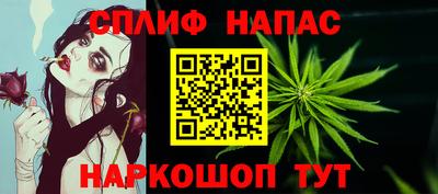СК Гусев