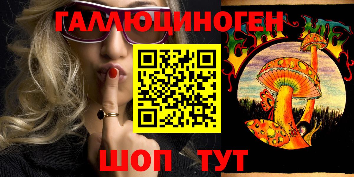 Псилоцибиновые грибы Psilocybine cubensis Касимов